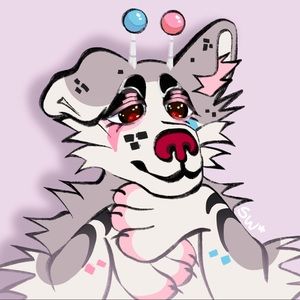 Meet your Posher, Maddy